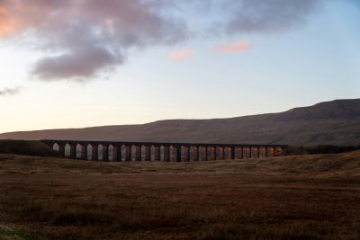 Niet zeker waar je past?